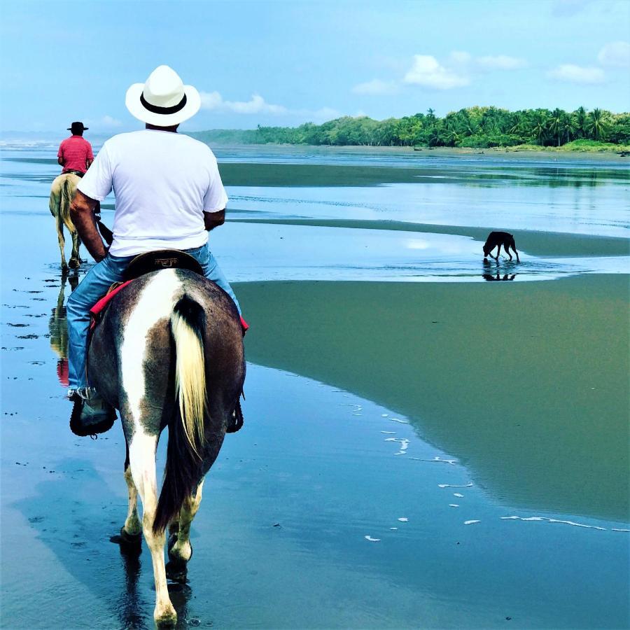 Coco Beach Village Matapalo  Ngoại thất bức ảnh